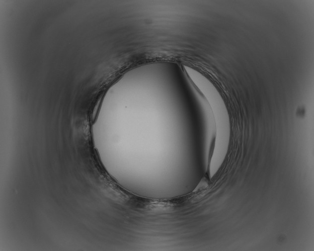 X0000090920617200708271026