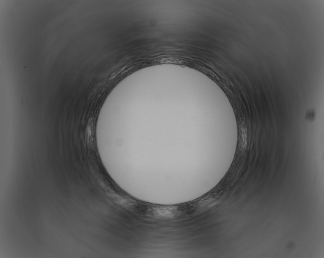 X0000090920618200708271026