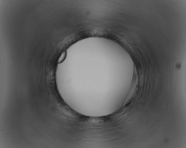 X0000090920619200708271026