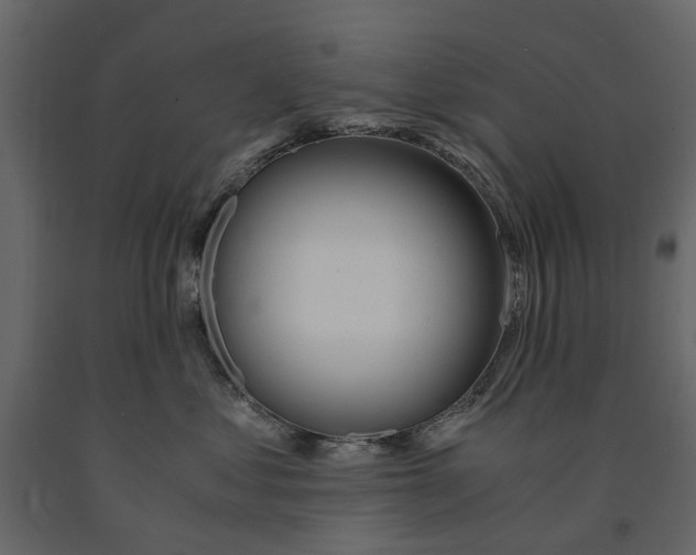 X0000090920621200708271025