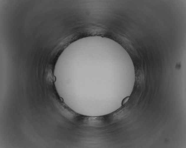 X0000090920622200708271025