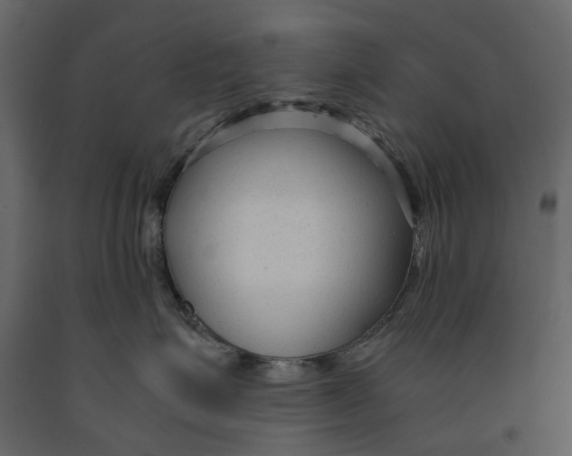 X0000090920623200708271025