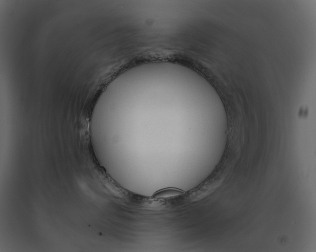 X0000090920624200708271025