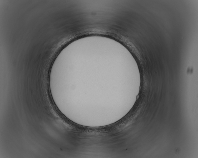 X0000090920625200708271025