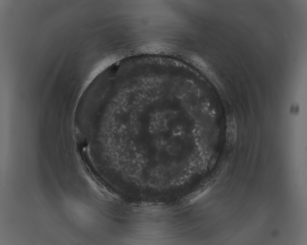 X0000090920626200708271025