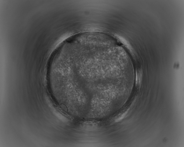 X0000090920627200708271025