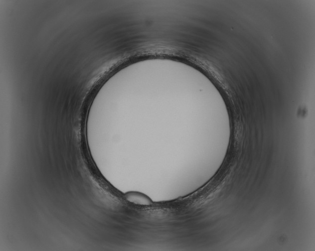 X0000090920629200708271025