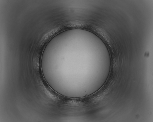 X0000090920633200708271025