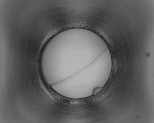 X0000090920634200708271025