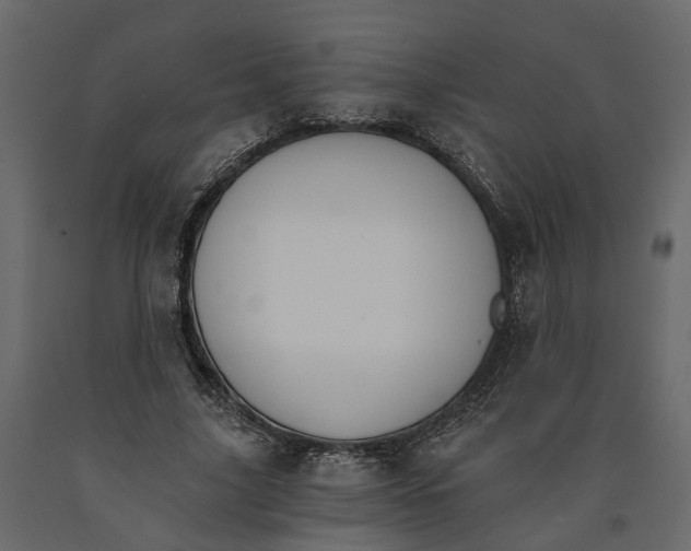 X0000090920635200708271025