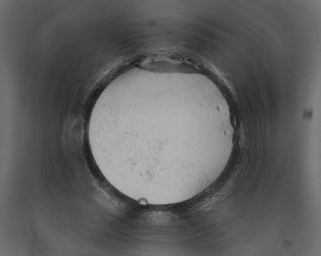 X0000090920637200708271025