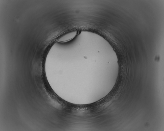 X0000090920638200708271025