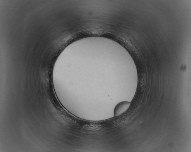 X0000090920639200708271025