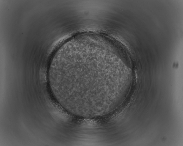 X0000090920640200708271025