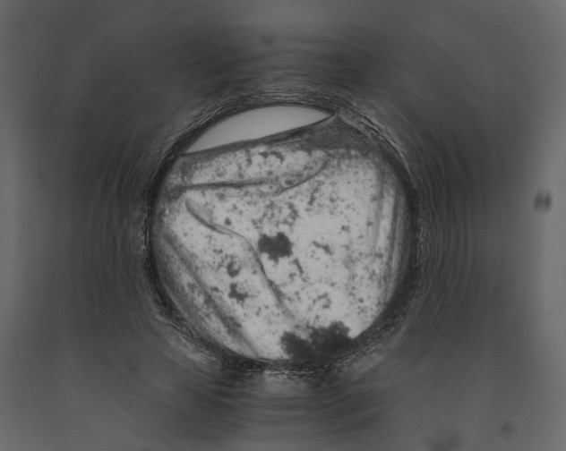 X0000090920641200708271025