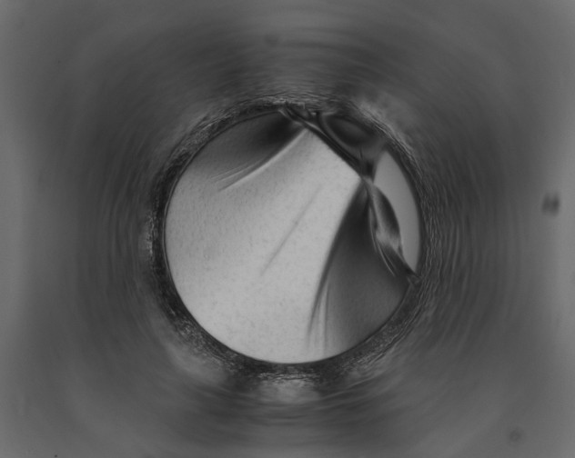 X0000090920643200708271025