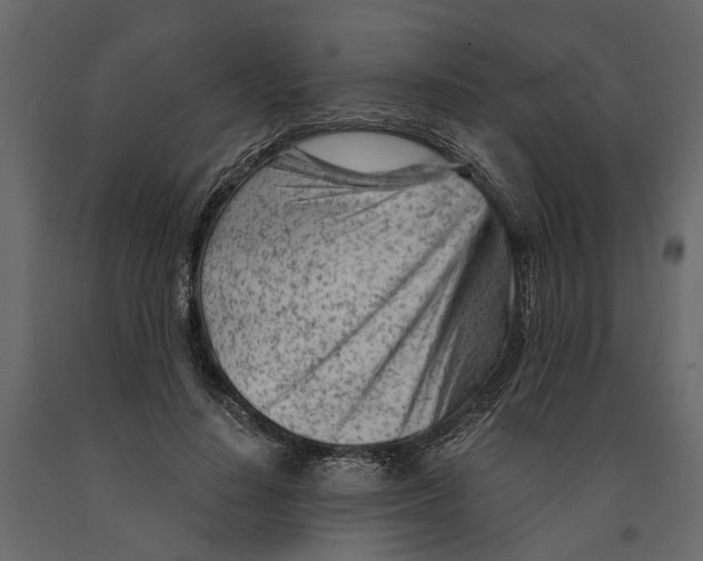 X0000090920644200708271025