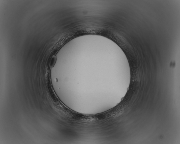 X0000090920646200708271025