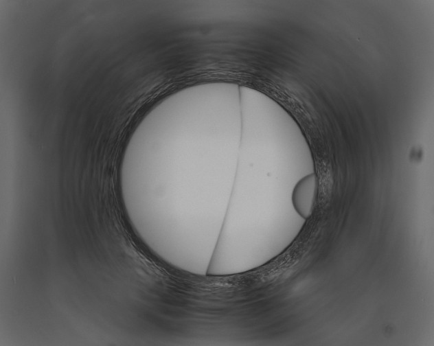 X0000090920649200708271025