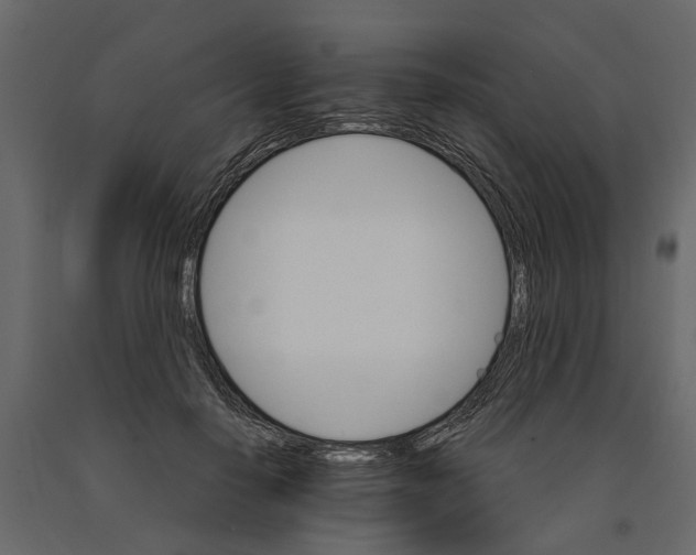 X0000090920650200708271025