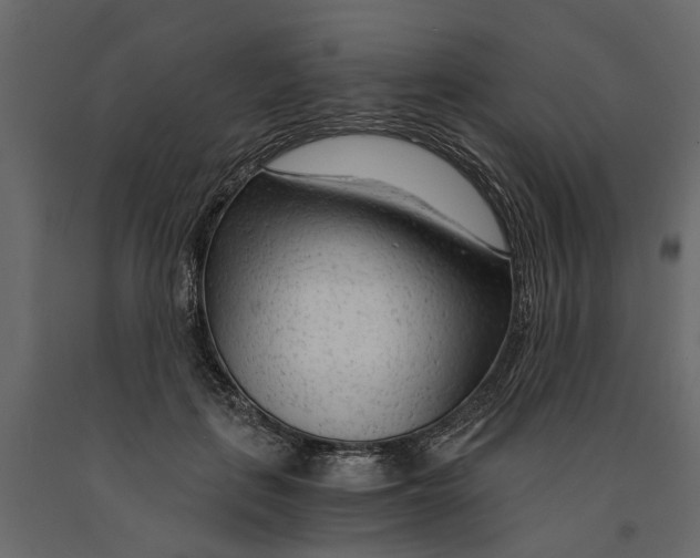 X0000090920651200708271025