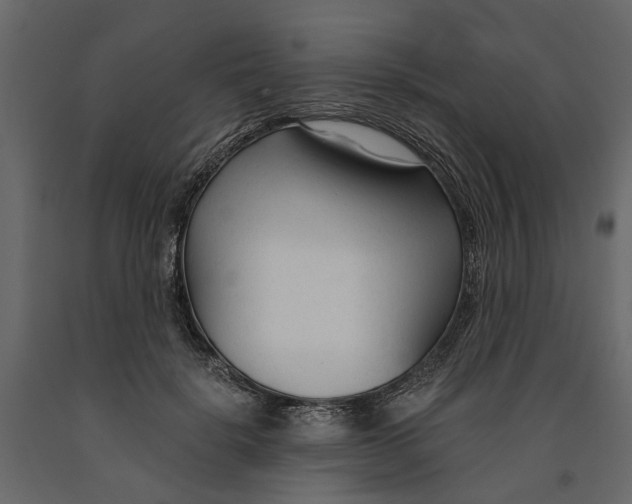 X0000090920652200708271025