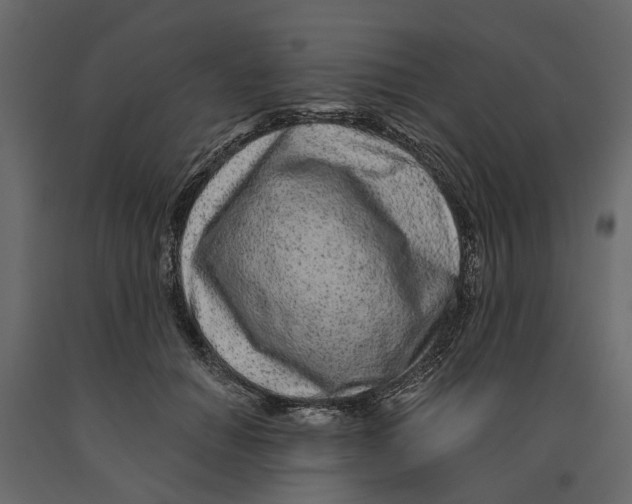 X0000090920654200708271025