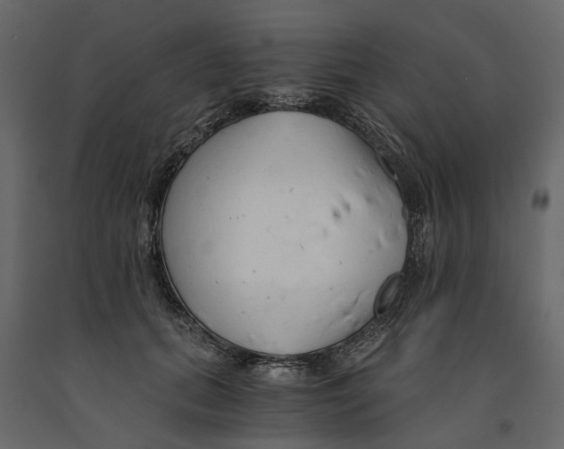 X0000090920655200708271025