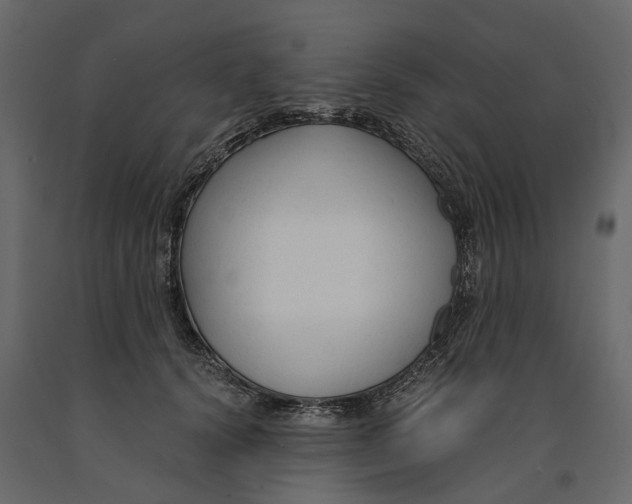 X0000090920656200708271025