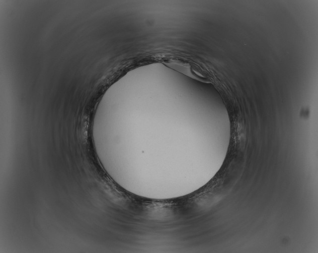 X0000090920664200708271025