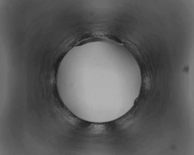 X0000090920665200708271025