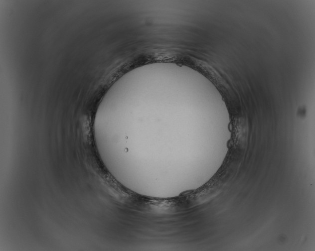 X0000090920667200708271025