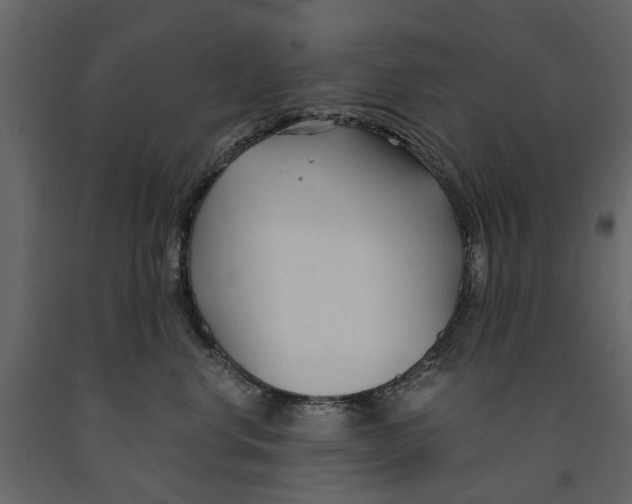 X0000090920668200708271025