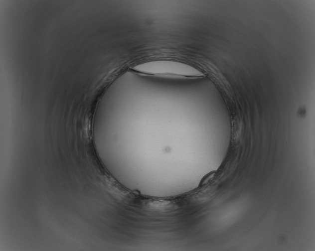 X0000090920669200708271025