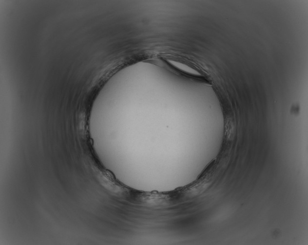 X0000090920670200708271025