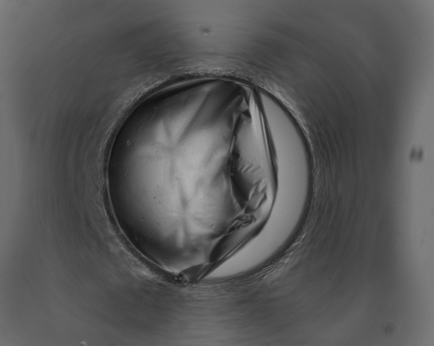 X0000090920673200708271025