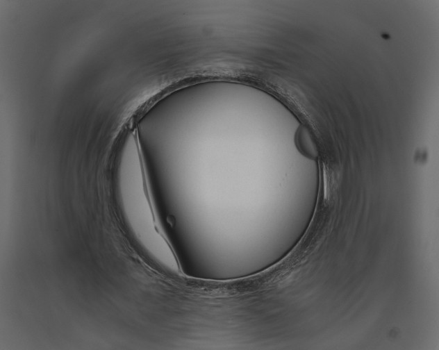 X0000090920675200708271025