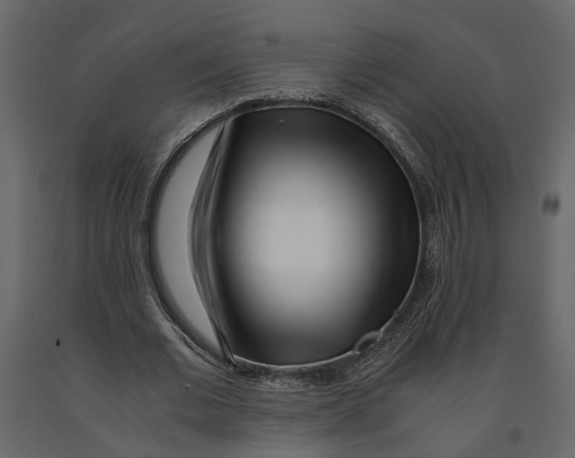 X0000090920677200708271025