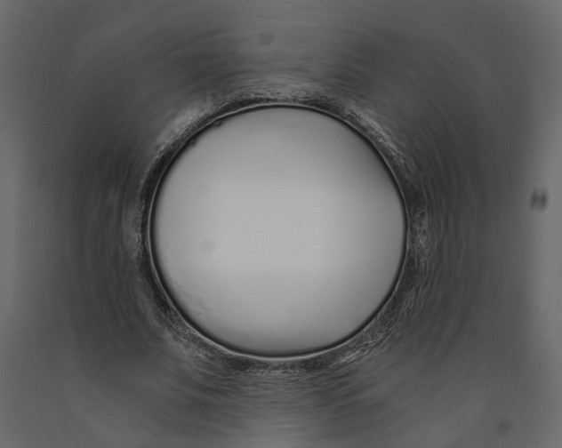 X0000090920679200708271025