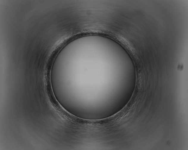 X0000090920680200708271025