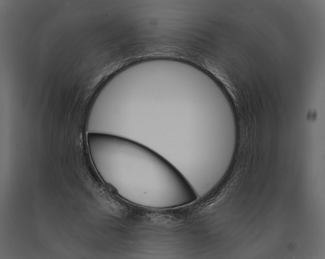 X0000090920681200708271025