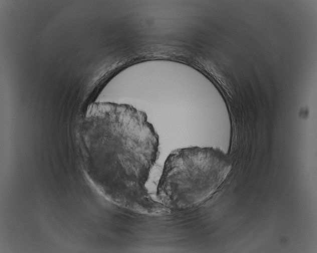 X0000090920683200708271025