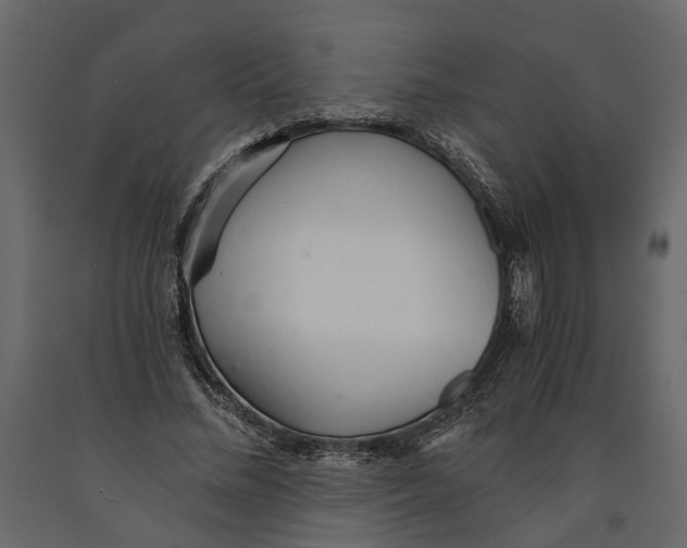 X0000090920684200708271025