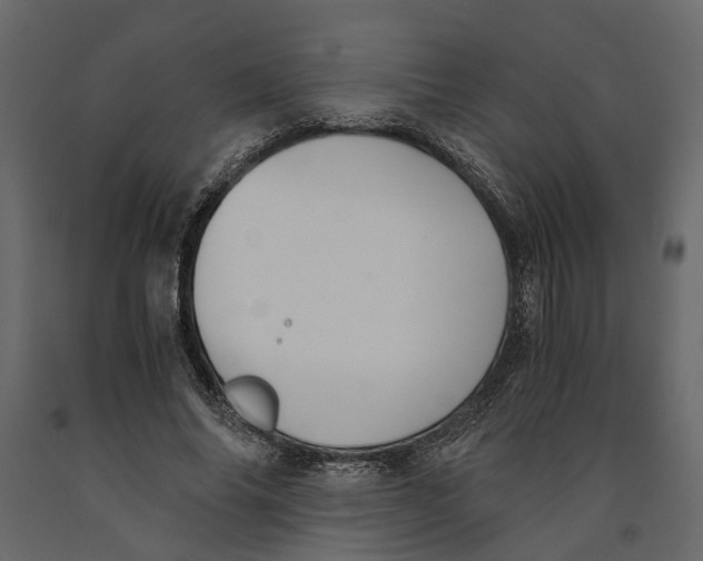 X0000090920686200708271025