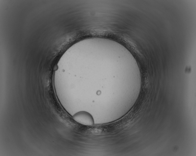 X0000090920687200708271025