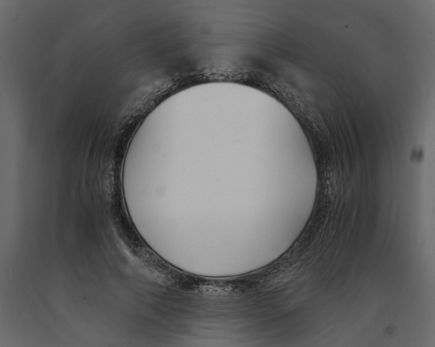 X0000090920690200708271025