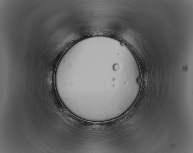 X0000090920691200708271025