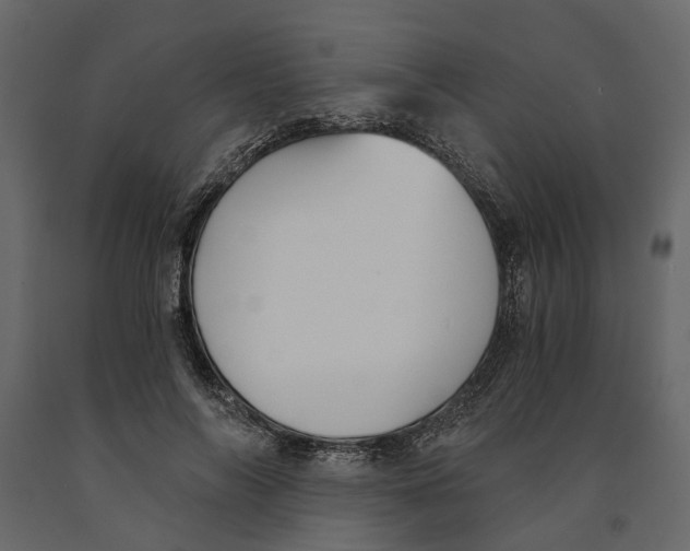 X0000090920694200708271025