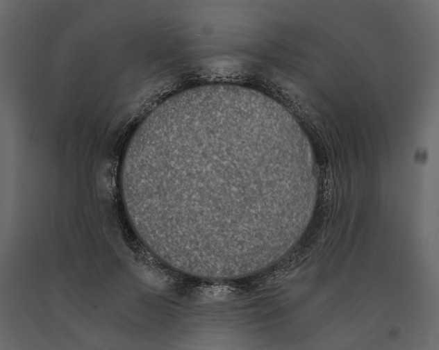 X0000090920695200708271025