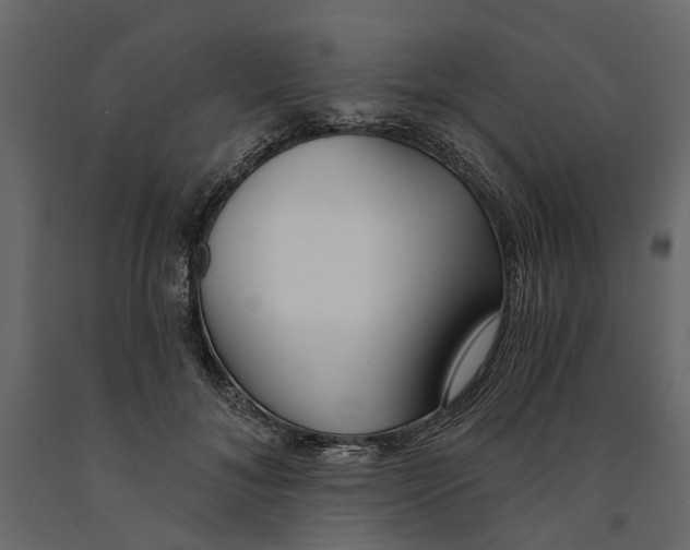 X0000090920700200708271024